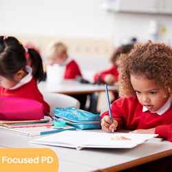 Focused PD: Reading Comprehension  for Years 5-6